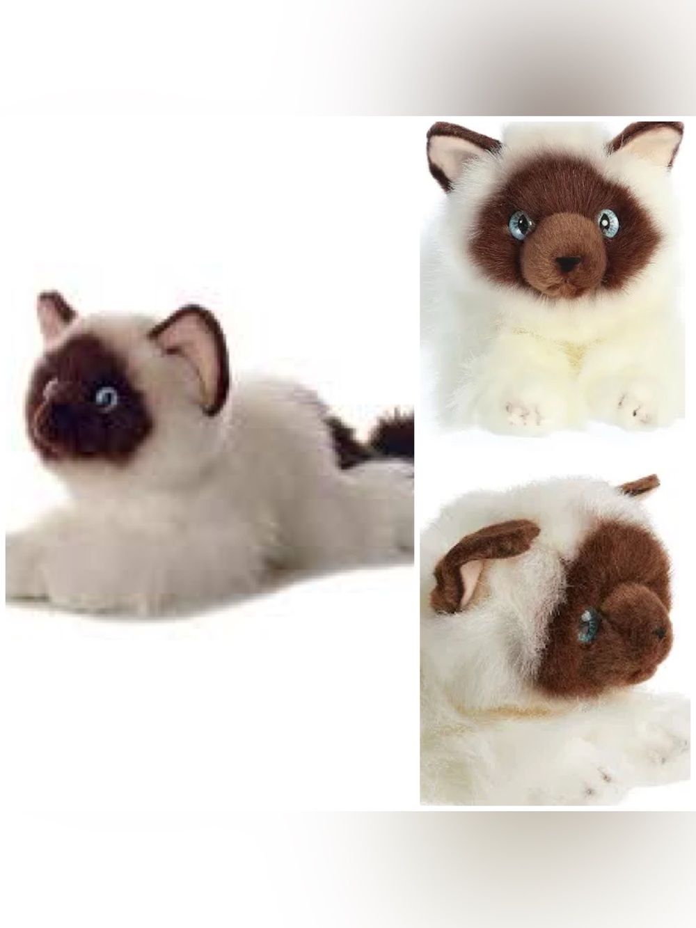 Aurora Flopsie Bella Birman Himalayan  12” Plush Fluffy Blue Eye Cream Brown Cat